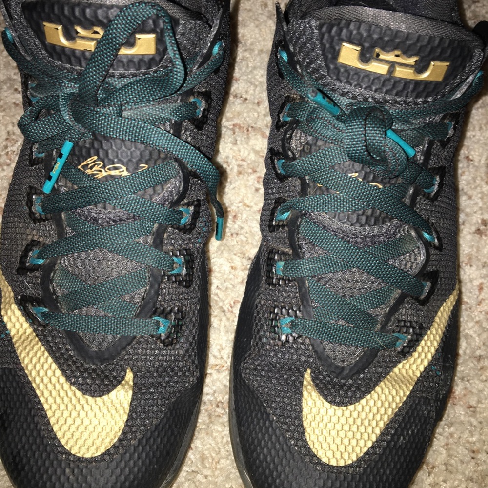 Men's Lebron basketball shoes